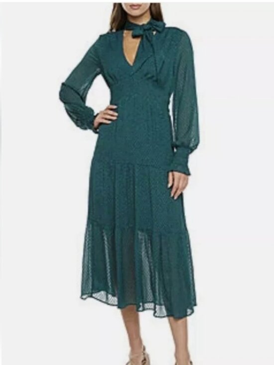ryegrass Dresses & Skirts - NWT RYEGRASS Emerald Green Clip Dot Long Sleeve Tie Neck Maxi Dress, Size Med